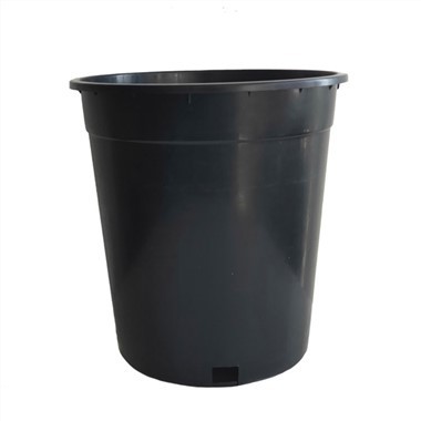 5 Pot Meithrin Gallon